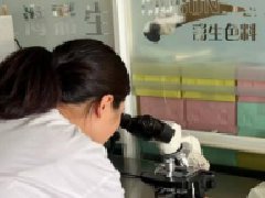 彩生市场销售人员学习色浆细度检测
